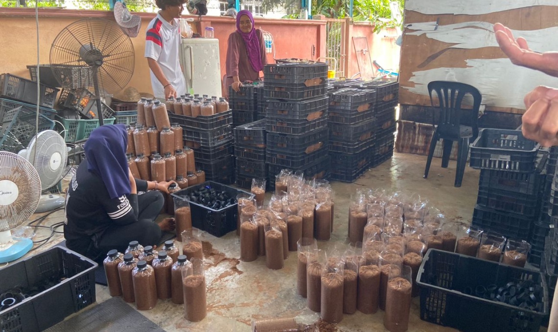 usahawan desa cendawan tiram
